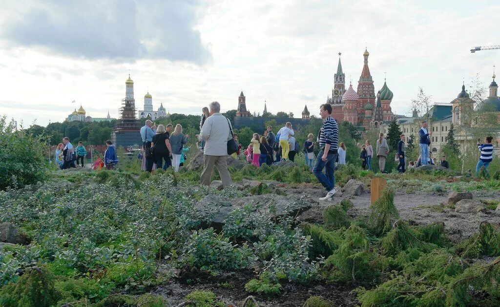 Парк Зарядье ландшафтные зоны. Парк Зарядье Степная зона. Зарядье луг. Пикник в Зарядье. Нунча зарядье