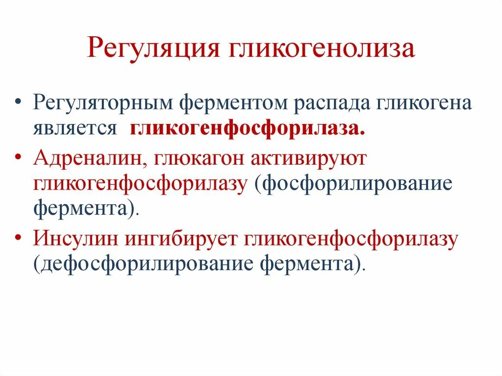 Синтез гликогена стимулирует гормон. Гликогенез гормональная регуляция. Схема регуляции обмена гликогена инсулином. Регуляторные ферменты гликогенеза. Ключевые регуляторные ферменты обмена гликогена.