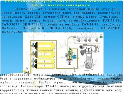 Жас келіншек есегін сипап жатыр (видео)
