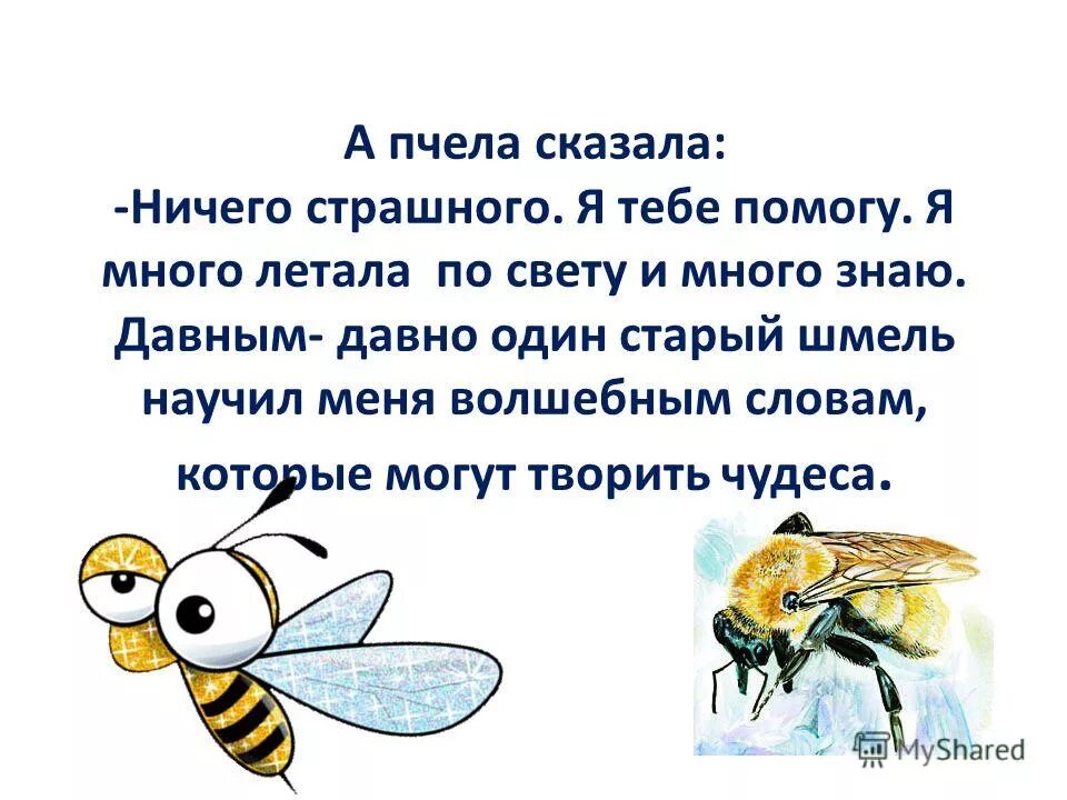 иди скажи пчелам