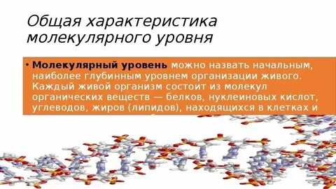 Молекулярный уровень общая характеристика конспект 10 класс