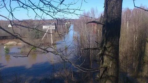 Снт утро московская область
