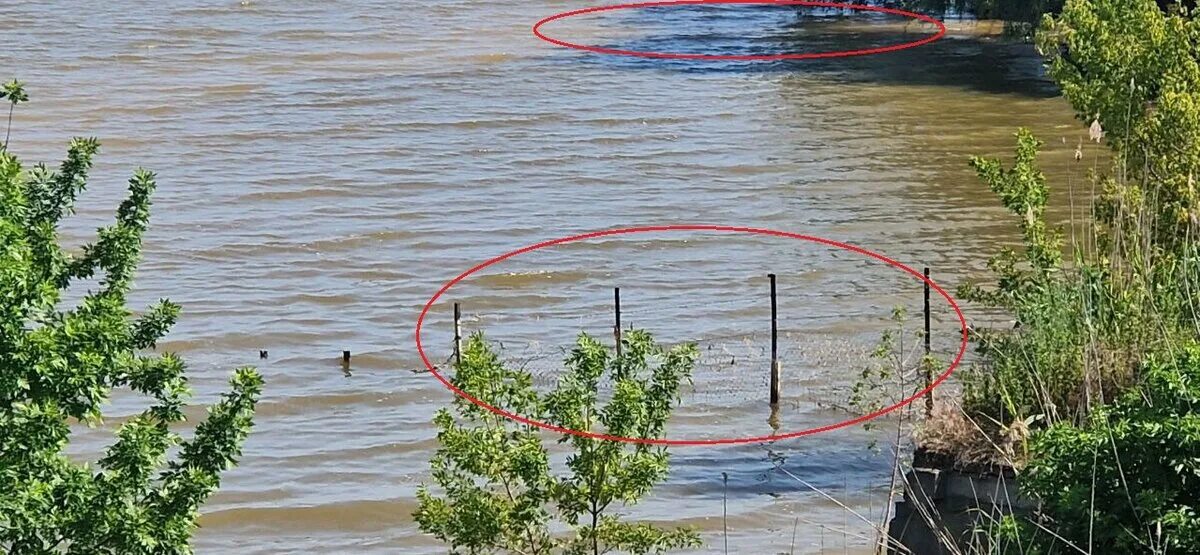 Сергеевское водохранилище казахстан. Каховское водохранилище сейчас. Что происходит на сергиевском водохранилище. Что происходит на сергиевском водохранилище. Сергеевское водохранилище 2022.