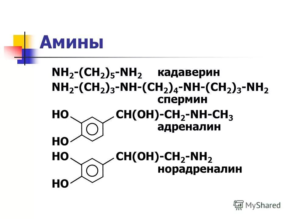 Nh2 ch2 5 nh2. Ацетилен nanh2. Химические свойства аминов взаимодействие с кислотами. Nh2c=ch2. Pka алифатических аминов.