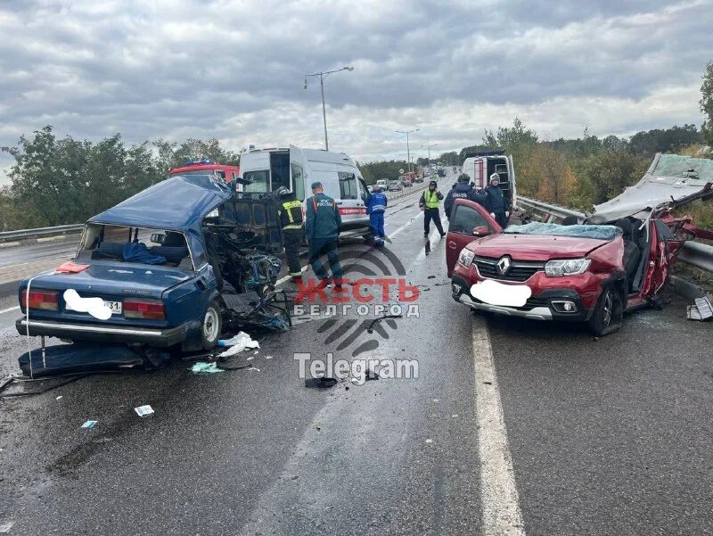 жесть белгород шебекино