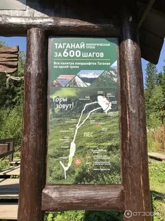 600 шагов