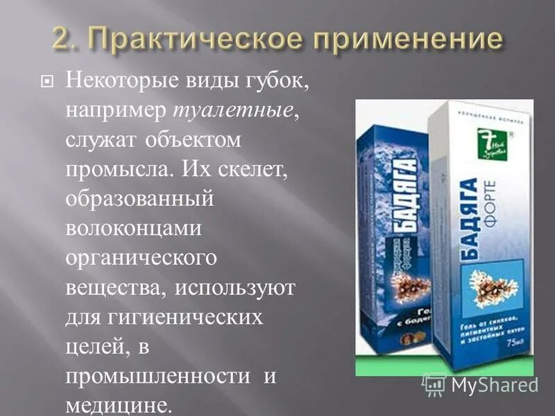 Как человек использует губки. Роль губок в жизни человека. практическое значение губок. значение губок в природе. каково значение губок в природе и для человека.