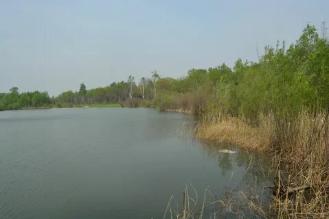 Май река рыбалка
