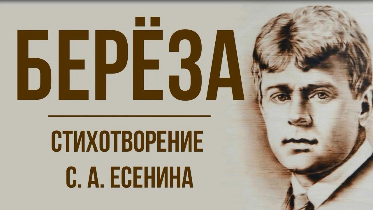 Береза Есенина. Есенин Березка. Есенин береза стихотворение.