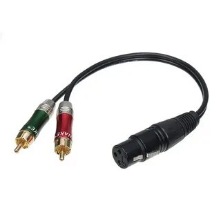 Xlr 2 rca