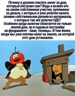 Синьор чиполлино