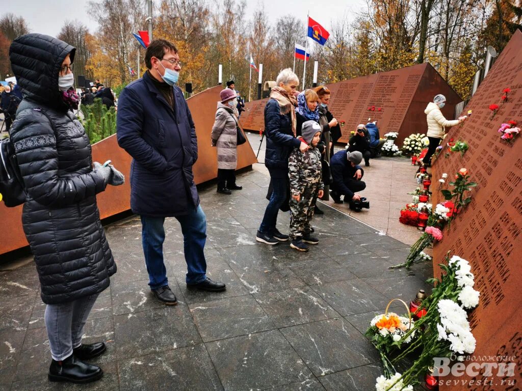 Трагедия над Синайским полуостровом 2015. Авиакатастрофа над Синайским полуостровом в 2015.