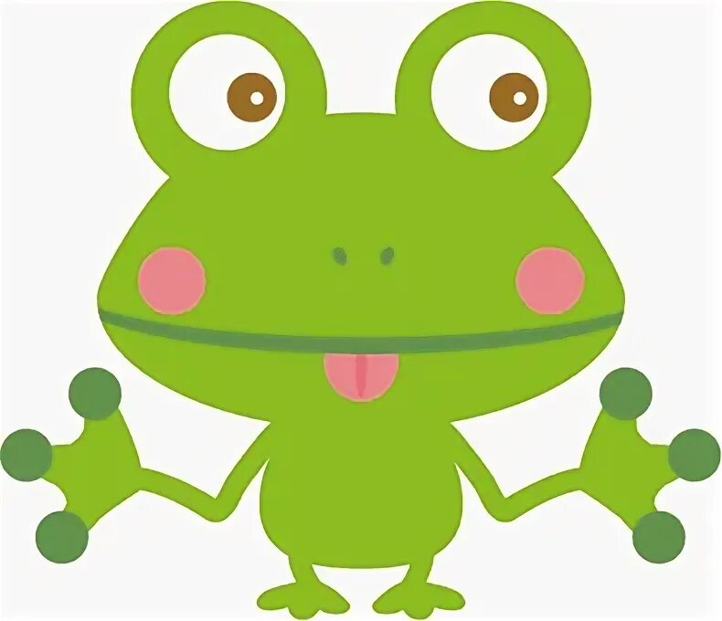 A frog 2. A frog 2