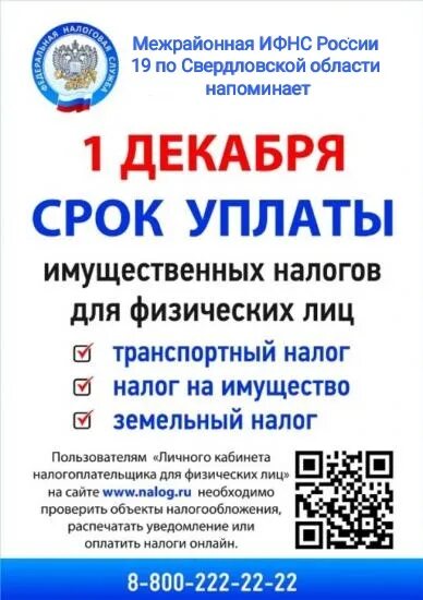 24 срок уплаты налога. Сроки уплаты транспортного налога. срок уплаты налога на имущество физических. истек срок уплаты имущественных налогов. налог на имущество физических лиц в 2025 срок уплаты.