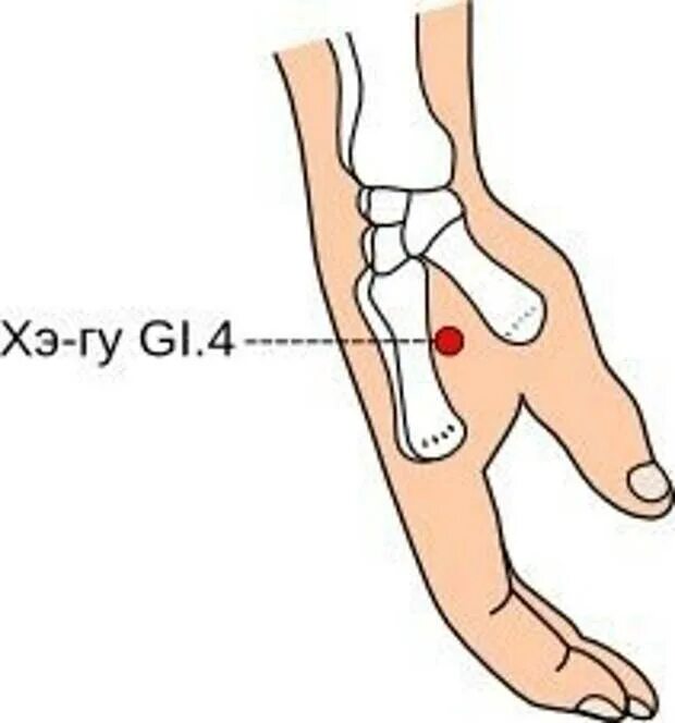 Точка gi-4 Хэ-ГУ. Точка Хэ ГУ на руке. Массаж точки Хэ ГУ. Точки рефлексотерапии Хэ-ГУ.