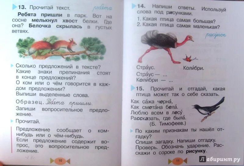 Скажи слово читай. Русский язык 1 класс учебник Рамзаева. Рамзаева 1 класс учебник. Прочитай и отгадай какая птица может так о себе сказать. Учебник по русскому языку 1 класс Рамзаева.