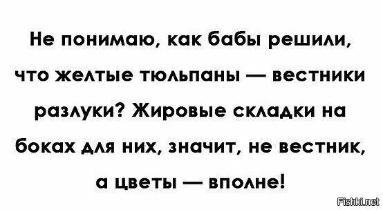 Желтые тюльпаны вестники текст. Жёлтые тюльпаны вестники разлуки. Жёлтые тюльпаны вестники разлуки песня. Вестники разлуки. Почему желтые тюльпаны вестники разлуки.