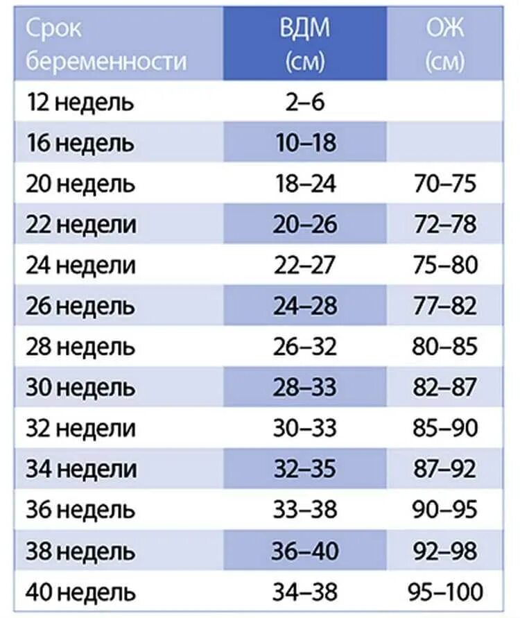 Твердый живот при беременности 3 триместр. Окружность живота при беременности по неделям норма. нормы окружности живота при беременности. окружность живота и высота дна матки по неделям. нормы обхвата живота при беременности.