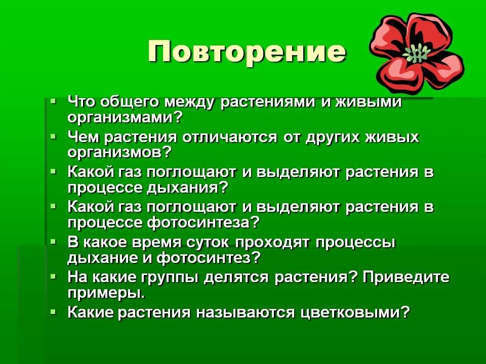 Отличие растений от других живых организмов. Чем растения отличаются от других организмов. В чём отличие растений от других живых организмов. Основное отличие растений от других организмов.