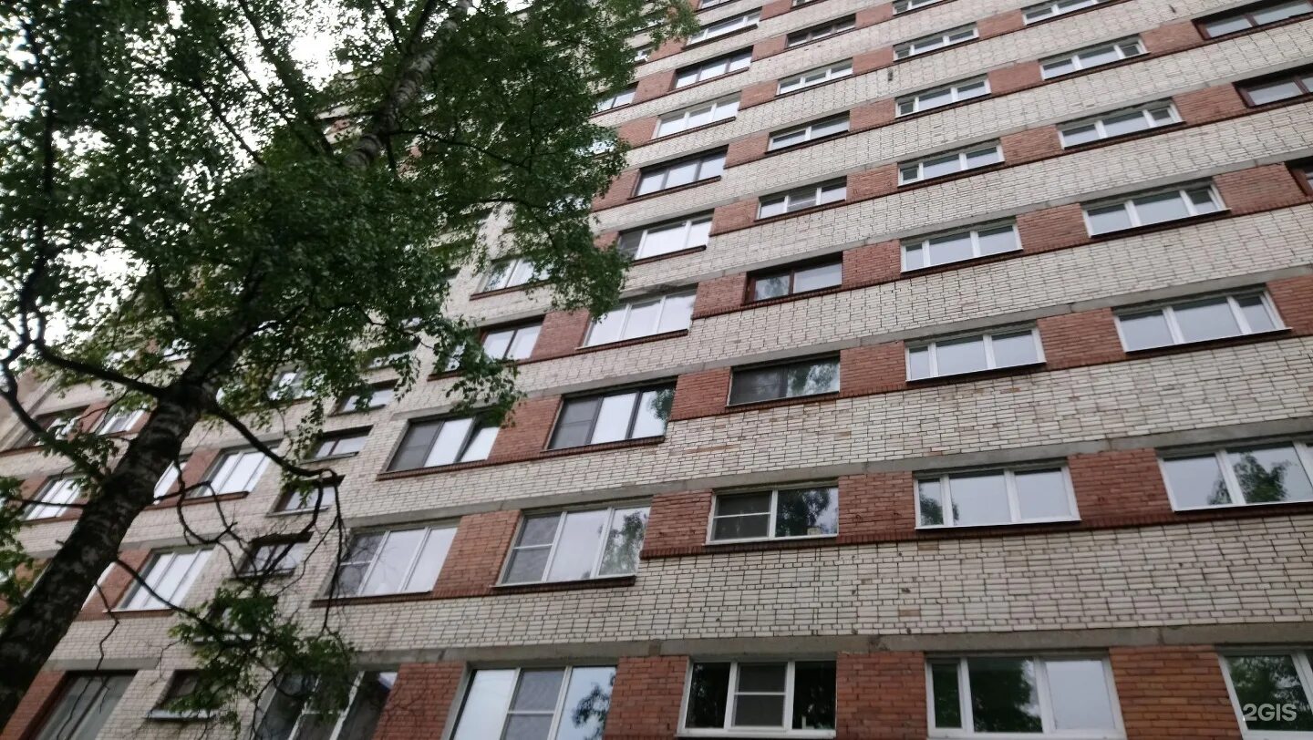 Ул ковалевской 14. Софьи ковалевской 14 спб. Софьи ковалевской 14. Ул ковалевской 14. Софьи ковалевской 14 к1 планировки.