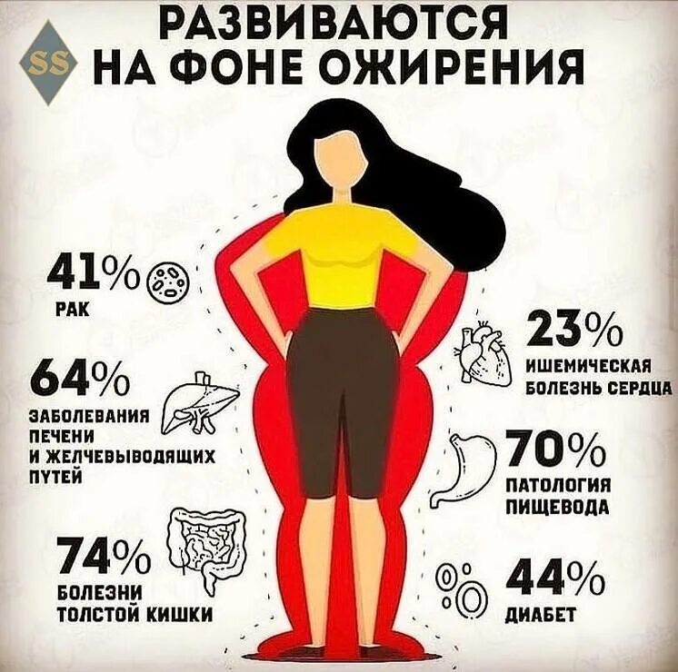 К чему приводит ожирение