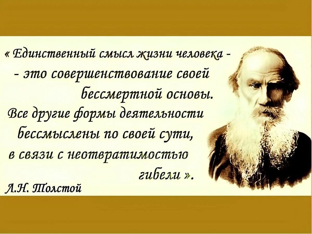 5 смыслов жизни. Лев толстой цитаты. Лев толстой цитаты о жизни. Толстой цитаты о жизни. Цитаты Льва Толстого о жизни.