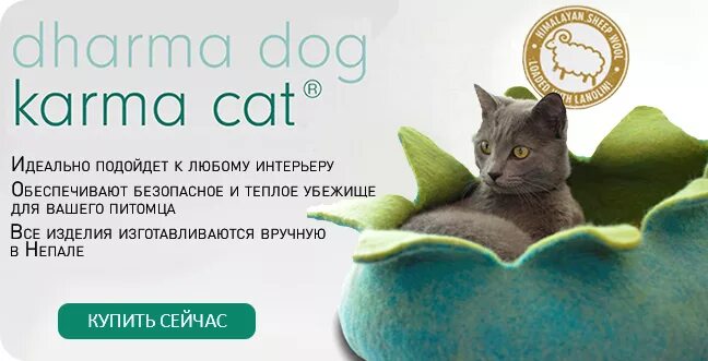 Karma Cat. ЗООПАССАЖ скидка. ЗООПАССАЖ Новосибирск. Реконвалисценс карма для кошек.