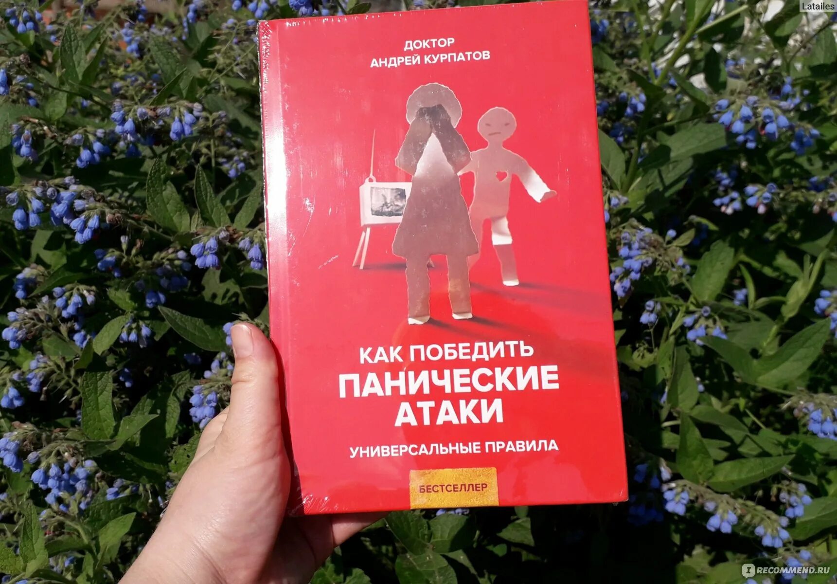 Курпатов как победить панические атаки читать. Таблетки от панических атак. успокоительные от панических атак. растения от панической атаки. травы от панических атак.