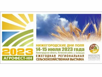 Программа дня поля