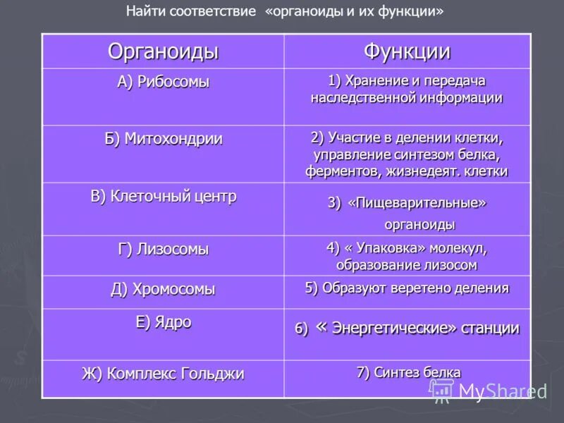 Назовите функции информации. Функции органоидов. Органоиды и их названия. Основные органоиды участвующие в деление клетки. Основная функция органеллы.