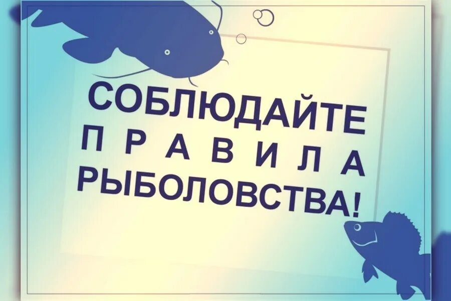 Нерестовый запрет в беларуси. Соблюдайте правила рыболовства. Правила рыболовства картинка. Информация для рыбаков. Правила рыбалки.