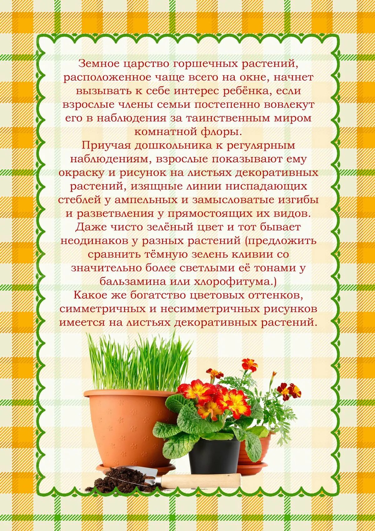 Огород на окне в детском саду. Дети и растения в детском саду. Комнатные цветы подготовительная группа. Огород на подоконнике. Консультация комнатные растения в детском саду для родителей.