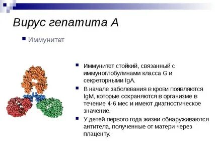 Гепатит с специфические иммуноглобулины