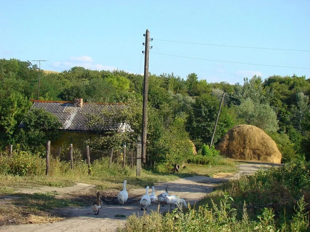 Тишанская волгоградская область погода нехаевский. Луковская Волгоградская область. Станица Луковская Волгоградская. Станица Нехаевская Волгоградская область.