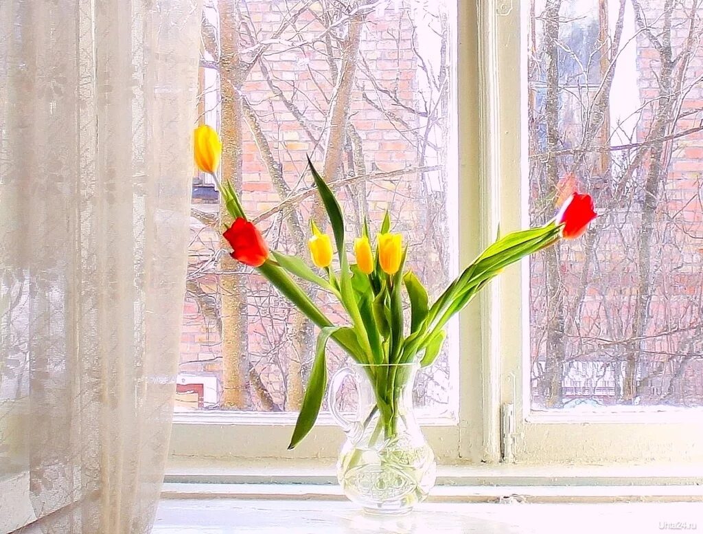 Цветы на окне. Окно с цветами на подоконнике. Весенние цветы на окне. Букет цветов на подоконнике.