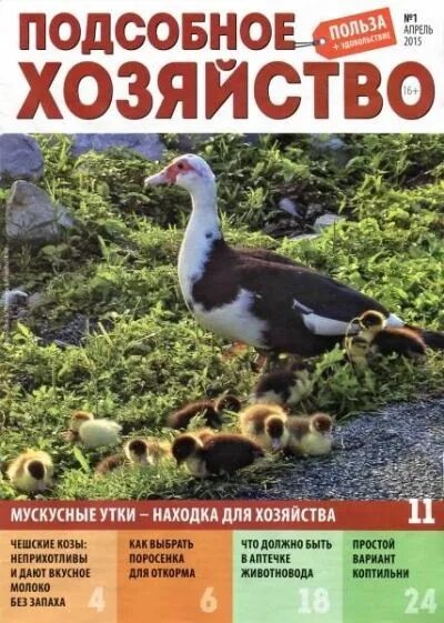 приусадебное хозяйство журнал 2021. сайт журнала хозяйство. журнал агроменеджера «новое сельское хозяйство». сайт журнала хозяйство. приусадебное хозяйство журнал 2022.