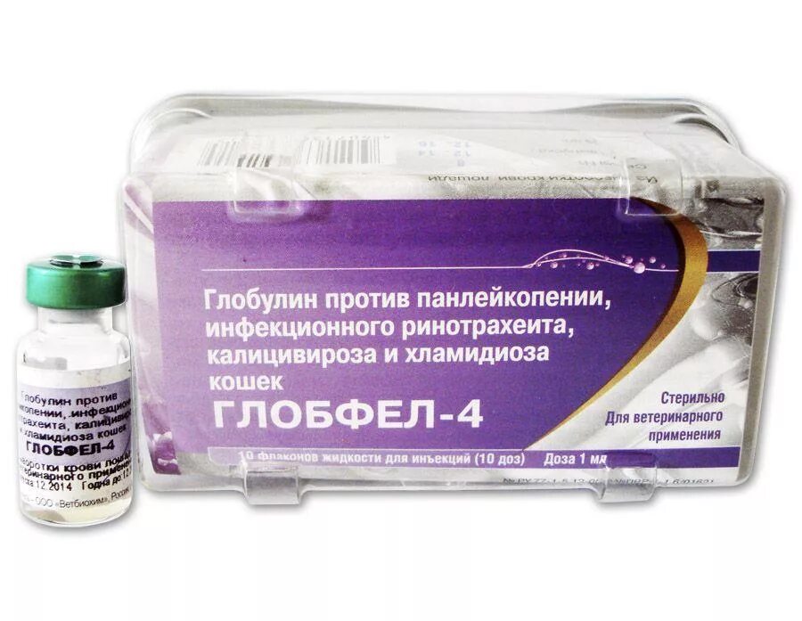 Глобфел-4. Глобфел-4 сыворотка для кошек. Вакцина Поливак-ТМ для кошек против дерматомикозов. Глобфел-4 глобулин для кошек.
