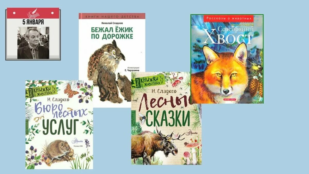 Круглый год сладков. Сказки Сладкова. Сладков произведения о животных 1 класс.