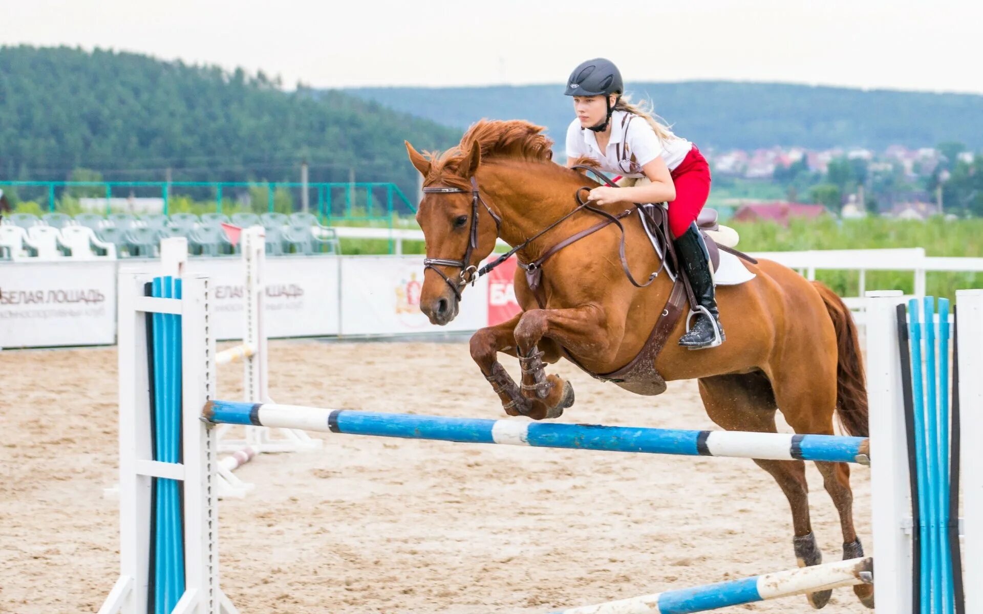 Спорт Хорс райдинг. Скачки на лошадях. Лошади спорт. Прыжки на лошади через барьер.