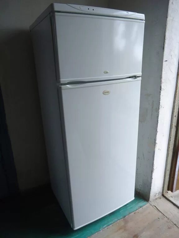 Холодильник через 1. Холодильник Норд двухкамерный. Холодильник Nord DX-221 двухкамерный. Двухкамерный холодильник Норд ДХМ -183-7-320. Холодильник Норд двухкамерный старый.