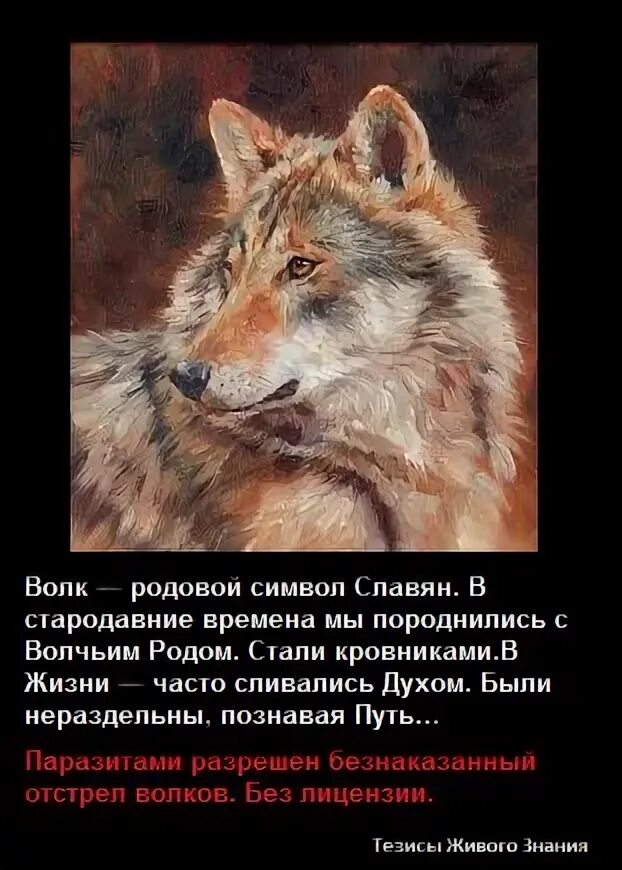 Символ волка значение. Символ волка у славян. что символизирует волк. волк символика у славян.
