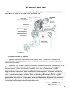 Сколько калорий сжигают отжимания