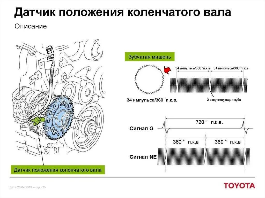 Устройство датчика коленвала. Как устроен датчик положения коленвала. Датчик положения коленчатого вала из чего состоит. Устройство датчика коленвала схема.