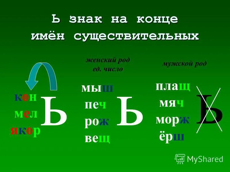 Склонение имен существительных 1 2 3 склонение. Ложь склонение. Склонение слова камыш. Какое склонение у слова камыш. Изменение по падежам.