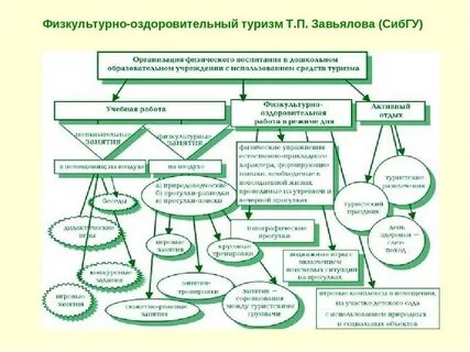 Физическая культура в системе образования