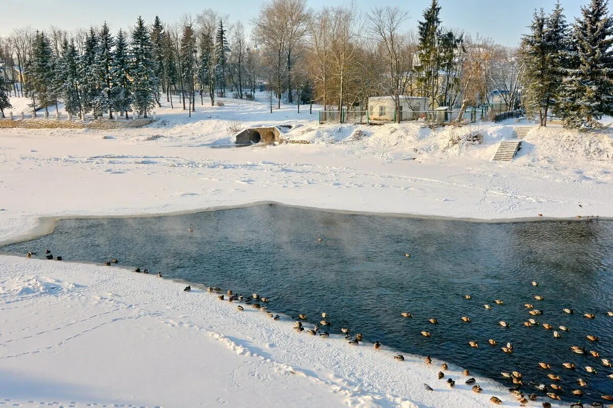 Зимний пейзаж с прорубью. Шуга на реке картинки. Зимняя река полынья. Полынь серая. Полынья фото.