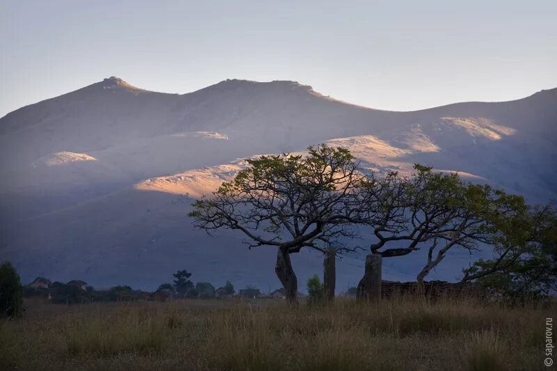мадагаскар остров мадагаскар. юрий визбор фото. юрий иосифович визбор. мадагаскар остров. юрий визбор ссср.