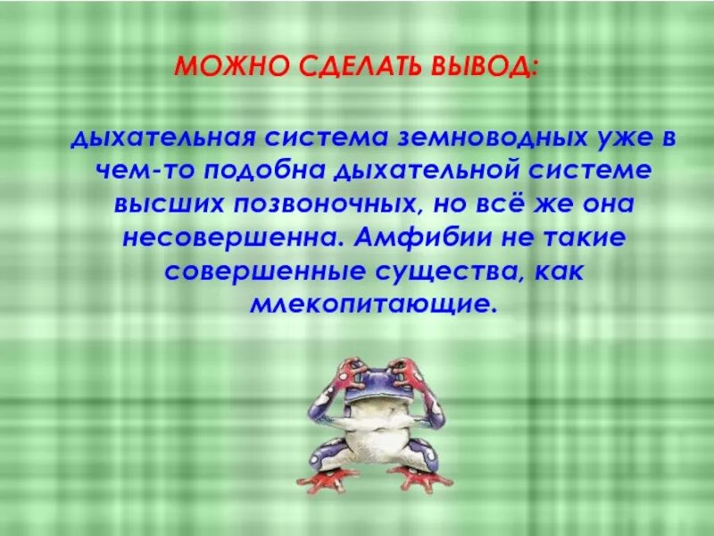 Функции дыхания у взрослых земноводных. Дыхательная система земноводных. земноводные органы дыхания. органы дыхательной системы земноводных. класс земноводные дыхательная система.