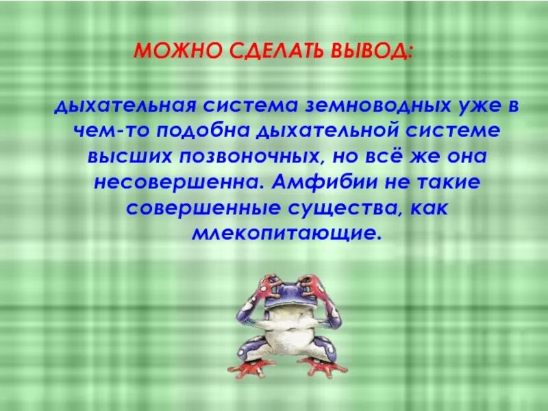 Функции дыхания у взрослых земноводных. Дыхательная система земноводных. Земноводные органы дыхания. Органы дыхательной системы земноводных. Класс земноводные дыхательная система.