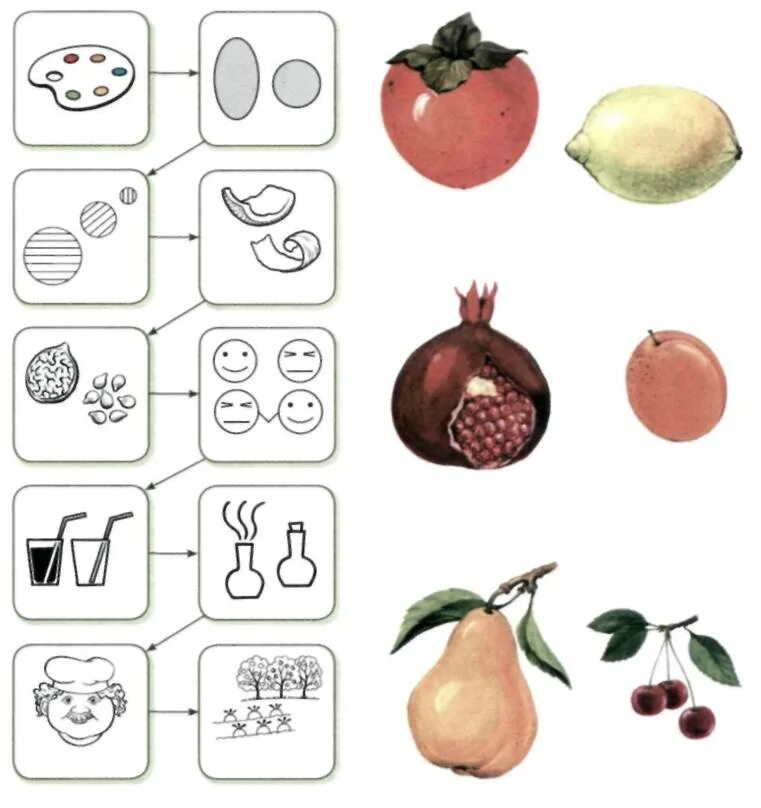 Схема фруктов. Тема фрукты Арбекова. Арбекова тема овощи. Арбекова 5-6 ягоды. Арбекова ОНР овощи.